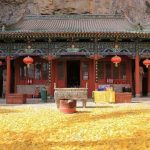 秋日限定！仙洞沟银杏大道入选“山西最美落叶景观”榜单