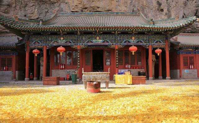 秋日限定！仙洞沟银杏大道入选“山西最美落叶景观”榜单